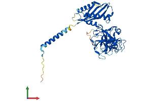 Protein Structure (PS) image for Transmembrane Protease, serine 11B (TMPRSS11B) (AA 1-416) protein (His tag) (ABIN7556987)