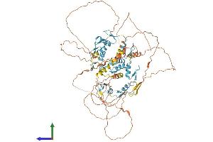 Protein Structure (PS) image for E4F Transcription Factor 1 (E4F1) (AA 1-783) protein (His tag) (ABIN7564534)