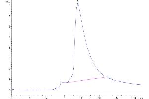 Size-exclusion chromatography-High Pressure Liquid Chromatography (SEC-HPLC) image for CD28 (CD28) (AA 19-152) protein (His-Avi Tag) (ABIN7274255)