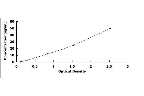 Factor VII ELISA Kit