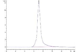 The purity of Human CSPG5 is greater than 95 % as determined by SEC-HPLC. (CSPG5 Protein (AA 31-423) (His tag))