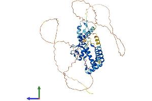 Protein Structure (PS) image for E3 ubiquitin-protein ligase RAD18 (RAD18) (AA 1-509) protein (His tag) (ABIN7561749)