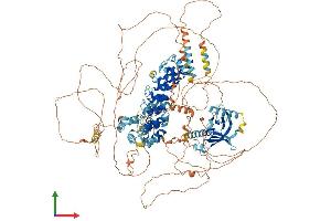 AlphaFold protein structure predicition of Mouse Recombinant Anks1b Protein, UniprotID Q8BIZ1 (ANKS1B Protein (AA 1-1259) (His tag))