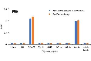 Specificity analysis of clone FR9 for its antigens using ELISA The specificity of clone FR9 was examined by ELISA using microplates coated with various glycoconjugates. (ST6GAL1 antibody)