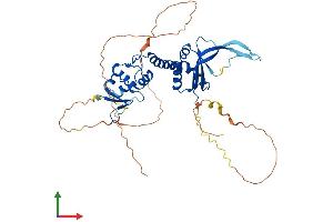 AlphaFold protein structure predicition of Human Recombinant KCTD20 Protein, UniprotID Q7Z5Y7