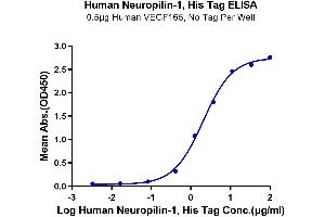 Immobilized Human VEGF165, No Tag at 5 μg/mL (100 μL/well) on the plate. (Neuropilin 1 Protein (NRP1) (AA 22-644) (His tag))