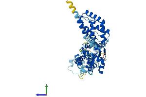 AlphaFold protein structure predicition of Mouse Recombinant Orc4 Protein, UniprotID O88708 (ORC4 Protein (AA 1-433) (His tag))