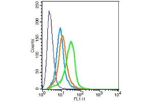 H9C2 cells probed with Rabbit Anti-DR6 Polyclonal Antibody, Unconjugated  at 1:100 for 30 minutes followed by incubation with a conjugated secondary -FITC) (green) for 30 minutes compared to control cells (blue), secondary only (light blue) and isotype control (orange). (TNFRSF21 antibody  (AA 101-200))
