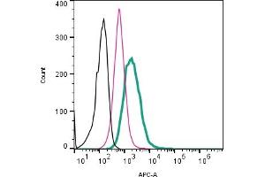 Cell surface detection of TREM2 by direct flow cytometry in live intact human  monocytic leukemia cells: + Rabbit IgG isotype control-APC (ABIN7582043).