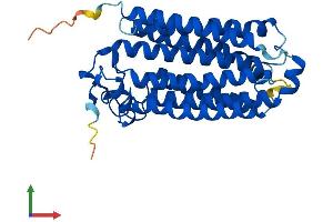 Protein Structure (PS) image for Progestin and AdipoQ Receptor Family Member V (PAQR5) (AA 1-330) protein (His tag) (ABIN7561356)