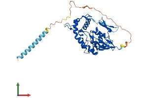 AlphaFold protein structure predicition of Human Recombinant HS3ST5 Protein, UniprotID Q8IZT8