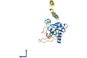 AlphaFold protein structure predicition of Human Recombinant KHDC1 Protein, UniprotID Q4VXA5 (KHDC1 Protein (AA 1-237) (His tag))