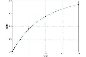 Heat Shock Factor Protein 1 (HSF1) ELISA Kit