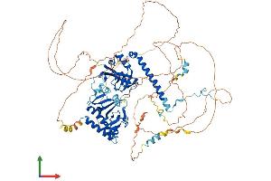 AlphaFold protein structure predicition of Human Recombinant RNF10 Protein, UniprotID Q8N5U6 (RNF10 Protein (AA 1-811) (His tag))