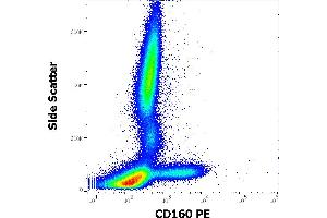 Flow cytometry surface staining pattern of human peripheral whole blood stained using anti-human CD160 (BY55) PE antibody (10 μL reagent / 100 μL of peripheral whole blood). (CD160 antibody  (PE))