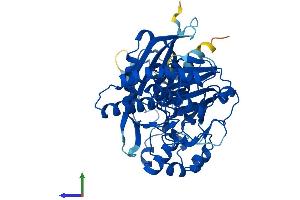 AlphaFold protein structure predicition of Mouse Recombinant Shpk Protein, UniprotID Q9D5J6 (SHPK Protein (AA 1-476) (His tag))