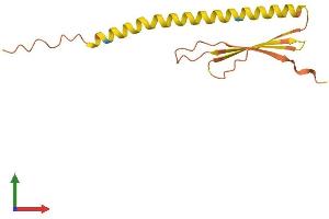 AlphaFold protein structure predicition of Human Recombinant LINC00052 Protein, UniprotID Q96N35 (LINC00052 Protein (AA 1-136) (His tag))