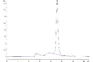 The purity of Human FSTL3 is greater than 95 % as determined by SEC-HPLC. (FSTL3 Protein (AA 27-263) (His tag))