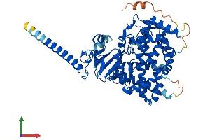 Protein Structure (PS) image for Cytochrome P450, Family 26, Subfamily B, Polypeptide 1 (CYP26B1) (AA 1-512) protein (His tag) (ABIN7564320)