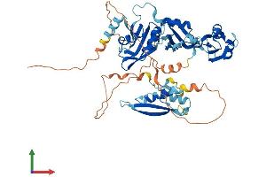 AlphaFold protein structure predicition of Mouse Recombinant Rbm46 Protein, UniprotID P86049 (RBM46 Protein (AA 1-533) (His tag))