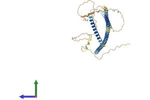 AlphaFold protein structure predicition of Human Recombinant AZI2 Protein, UniprotID Q9H6S1 (AZI2 Protein (AA 1-392) (His tag))