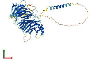 Protein Structure (PS) image for Integrin alpha FG-GAP Repeat Containing 3 (ITFG3) (AA 1-555) protein (His tag) (ABIN7559094)