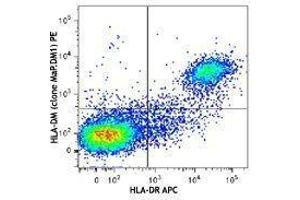 Flow Cytometry (FACS) image for anti-MHC Class II HLA-DM (HLA-DM) antibody (PE) (ABIN2662747) (HLA-DM antibody  (PE))