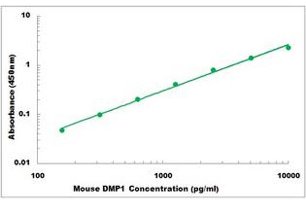 DMP1 ELISA Kit