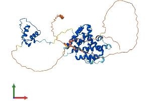 AlphaFold protein structure predicition of Mouse Recombinant Hnf4a Protein, UniprotID P49698 (HNF4A Protein (AA 1-474) (His tag))