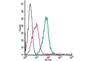 Cell surface detection of CRLR/CALCRL by direct flow cytometry in live intact mouse J774 macrophage cells: + Rabbit IgG isotype control-FITC.