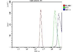 Flow Cytometry analysis of A431 cells using anti-MAFG antibody (ABIN7602901). (Mafg antibody  (C-Term))