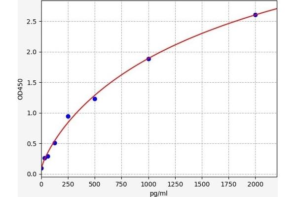 HOXB7 ELISA Kit