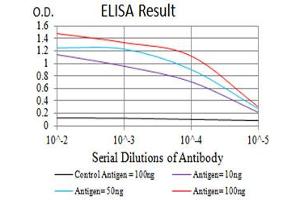 Black line: Control Antigen (100 ng),Purple line: Antigen (10 ng), Blue line: Antigen (50 ng), Red line:Antigen (100 ng) (P2RY12 antibody)