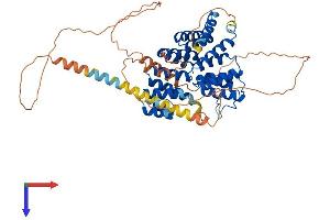 AlphaFold protein structure predicition of Mouse Recombinant Pex5l Protein, UniprotID Q8C437 (Peroxisomal Biogenesis Factor 5-Like (PEX5L) (AA 1-567) protein (His tag))