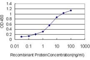 Detection limit for recombinant GST tagged HDAC1 is approximately 0. (HDAC1 antibody  (AA 1-482))