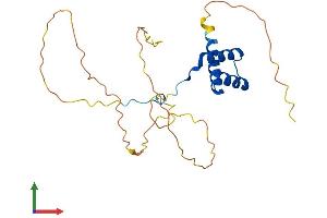 AlphaFold protein structure predicition of Mouse Recombinant Hoxc6 Protein, UniprotID P10629 (Homeobox C6 Protein (HOXC6) (AA 1-235) (His tag))