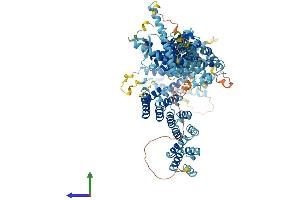 AlphaFold protein structure predicition of Mouse Recombinant Tango6 Protein, UniprotID Q8C3S2 (TANGO6/TMCO7 Protein (AA 1-1079) (His tag))