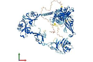 AlphaFold protein structure predicition of Human Recombinant USP7 Protein, UniprotID Q93009 (USP7 Protein (AA 1-1102) (His tag))