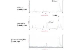 Activity Assay (AcA) image for Lysine (K)-Specific Demethylase 5B (KDM5B) (full length ) protein (DYKDDDDK Tag) (ABIN2669681)