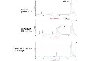JARID1B / KDM5B activity assay. (KDM5B Protein (full length) (DYKDDDDK Tag))