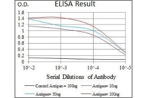 Black line: Control Antigen (100 ng), Purple line: Antigen(10 ng), Blue line: Antigen (50 ng), Red line: Antigen (100 ng), (Cadherin-16 antibody)