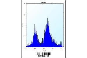 Flow cytometric analysis of Neuro-2a cells (right histogram) compared to a negative control cell (left histogram). (UBE2E2 antibody  (N-Term))
