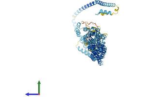 AlphaFold protein structure predicition of Human Recombinant COG7 Protein, UniprotID P83436 (COG7 Protein (AA 1-770) (His tag))