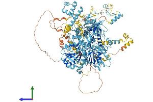 AlphaFold protein structure predicition of Human Recombinant DHX8 Protein, UniprotID Q14562 (DHX8 Protein (AA 1-1220) (His tag))