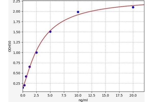 APAF1 ELISA Kit