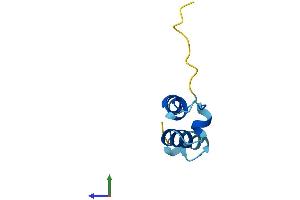 AlphaFold protein structure predicition of Mouse Recombinant Coa5 Protein, UniprotID Q99M07 (COA5 Protein (AA 1-74) (Fc Tag))