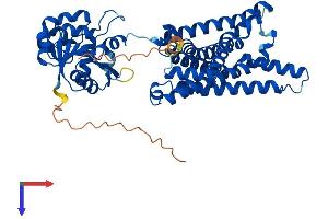 STEAP2 Protein (AA 1-489) (His tag)