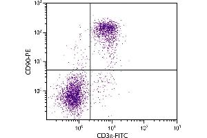 BALB/c mouse splenocytes were stained with Rat  Anti-Mouse CD90-PE. (CD90 antibody  (PE))