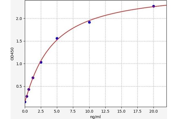 BMPR1A ELISA Kit