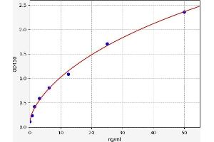 Typical standard curve (IgG2a ELISA Kit)